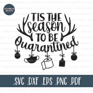 Tis The Season To Be Quarantined SVG, Natale 2020 SVG, Funny Christmas SVG, Ornament Svg, Maschera carta igienica, Cricut Cut File Silhouette