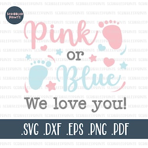 Rosa o azul Te amamos SVG, Género Revela SVG, Anuncio de embarazo Svg, Baby Footprint Svg, Archivo de corte para Cricut Silhouette