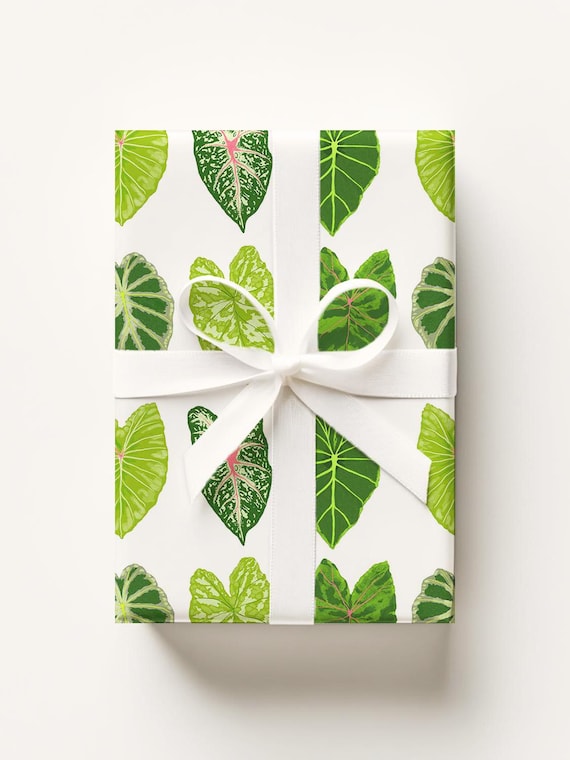 Alocasia Leaves Gift Wrap