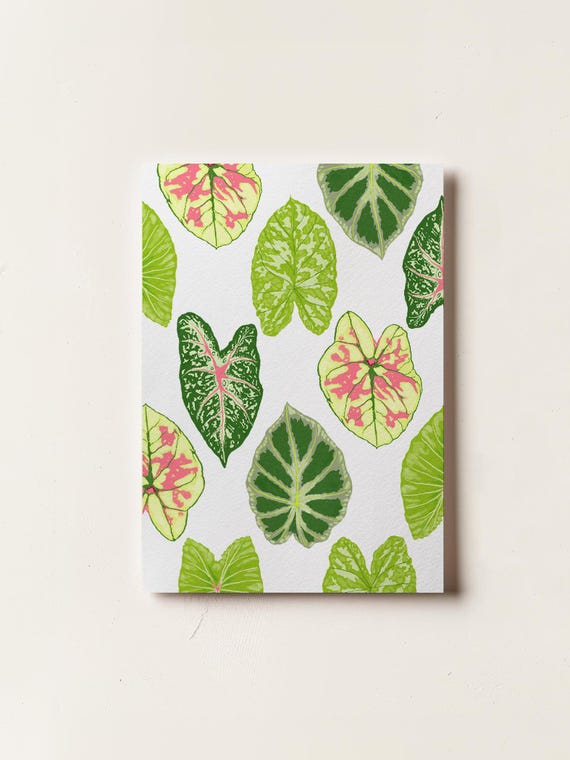 Alocasia Leaves Card