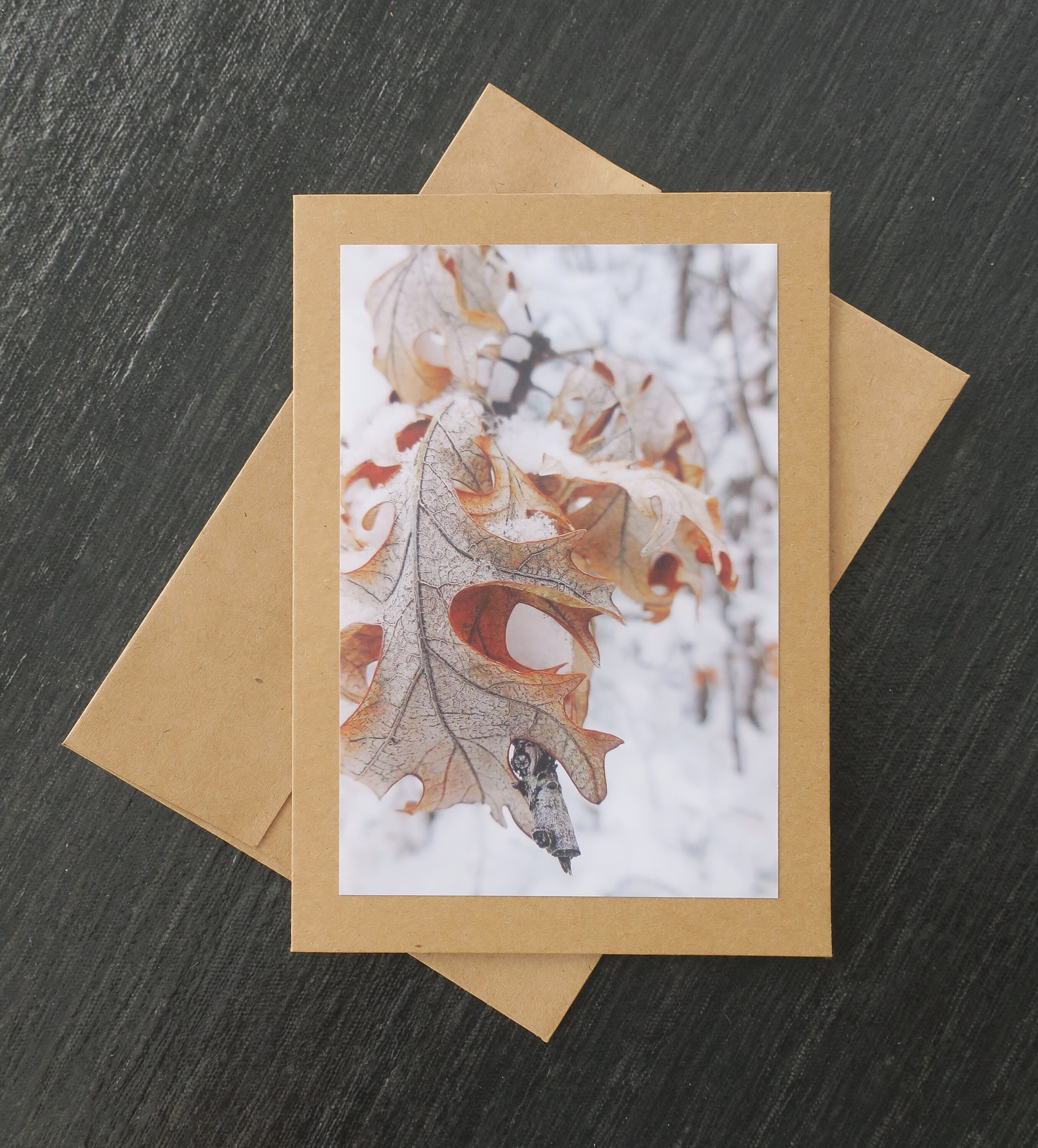 Handmade Nature Photo Blank Greeting Card/Note Card Lost Etsy