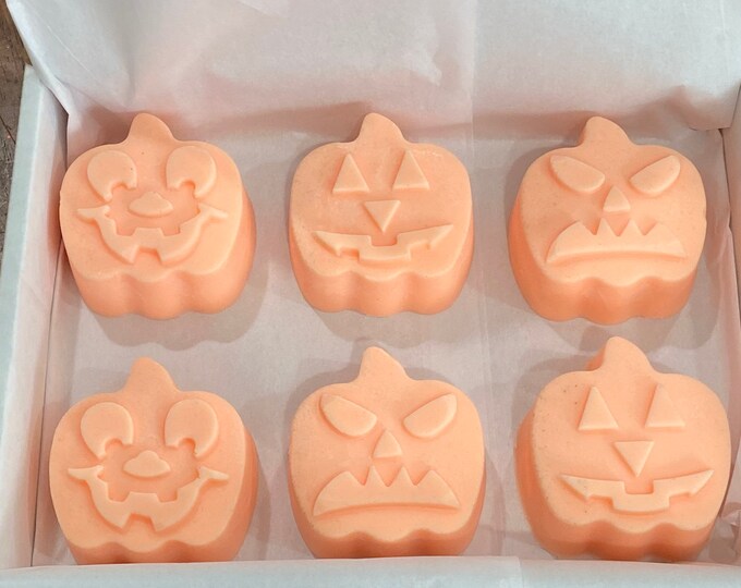 6 pc Pumpkin Wax Melts