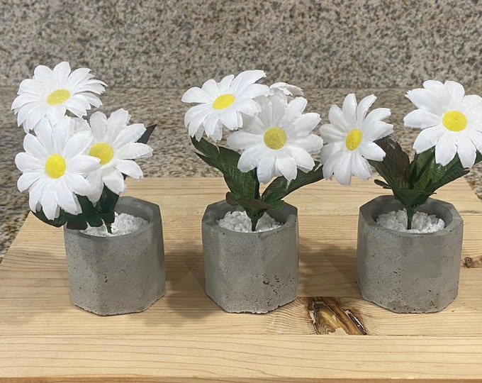 3 pc handmade mini cement planters with flowers
