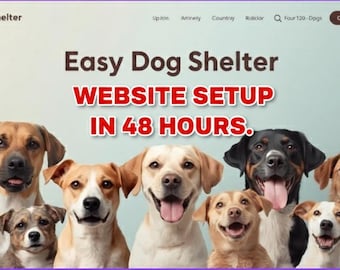 Nonprofit Fundraising Website Setup | Charity, Shelter, NGO | Free Hosting (48 Hours)