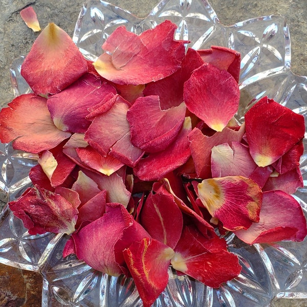 Organic Freeze Dried Rose Petals