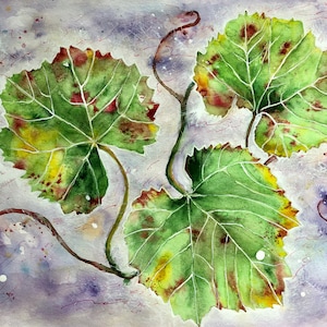 Weinblätter - original Aquarell