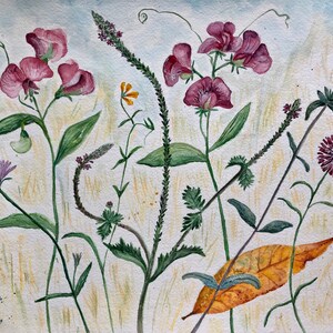 Wildflowers - original watercolor