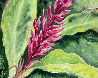 Flor de gengibre - pintura original