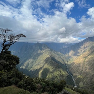Inca Trail, The Tree of Intipata, 8x10 Matted Print