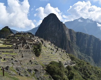 Machu Picchu Terrace, 8x10 Matted Print