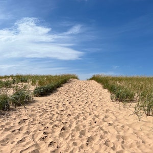 Sleeping Bear Dunes Path, 8x10 Matted Print