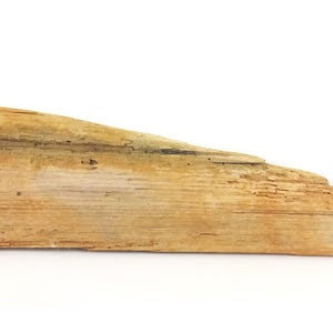 Plat beige drijfhout bord 49 cm drijfhout plank kunstvoorraad Rustieke oceaan naamkaartjes Leeg strandbord display schilderbord
