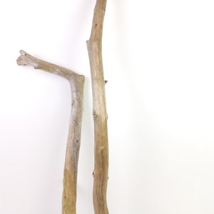 Decorative Driftwood Branches 24.8 -38.5&#39;&#39; (63-98cm) Unique Curvy Beach Branches Driftwood Art Supply Large Driftwood Branches Coastal Ocean