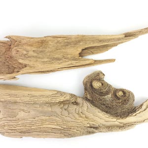 Tablas de madera flotante planas únicas de 14,7 a 18,5'' (37,5 a 47 cm) Tablones de playa de exhibición raros, suministros de arte de madera flotante, accesorios de decoración en blanco, playa, océano, náutico