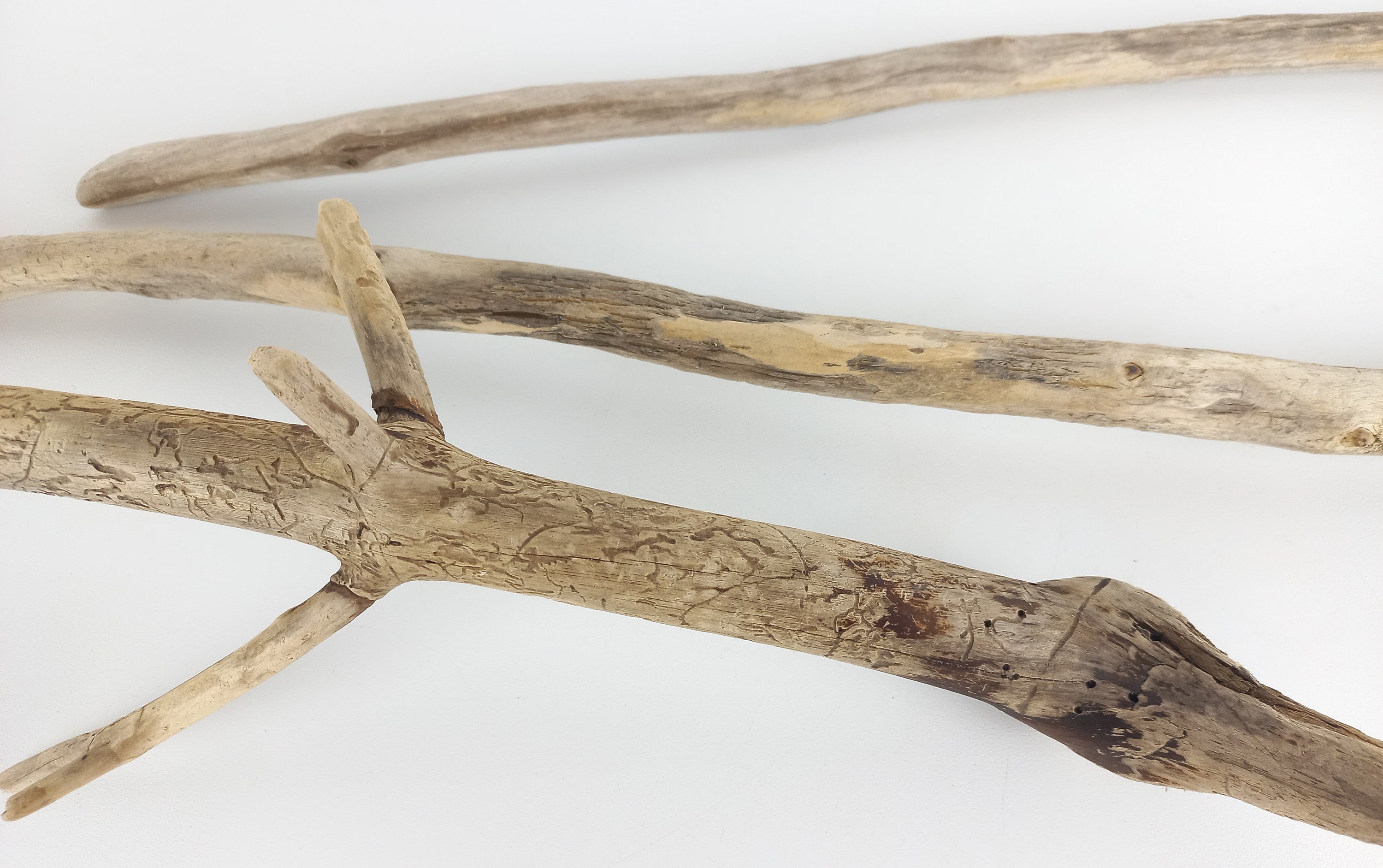 Branches décoratives en bois flotté 51,5-65 cm 20,2 25,5 po