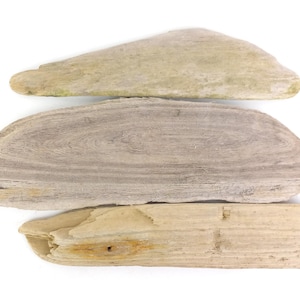 Tábuas planas de madeira flutuante, suprimentos de arte, 11,4-13,3'' (29-34 cm), tábuas de praia rústicas, etiquetas de nome do oceano, cartões de lugar, placas costeiras em branco, acessórios de exibição