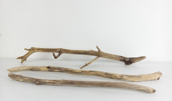 Branches en bois flotté 16 cm - 250 grammes