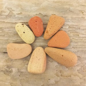 Può includere: Una collezione di sette pietre lisce e arrotondate disposte in un motivo circolare. Le pietre presentano una varietà di toni terrosi, tra cui sfumature di crema, beige, arancione chiaro e terracotta, ognuna con una texture porosa e maculata.