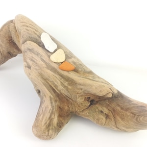 Treibholz Skulptur Einzigartige Treibholz Pflanzgefäß 16.5 '' (42 cm) Treibholz Art Versorgung Strand Haus Decor Stabiles Treibholzstück Ocean Nautical Decor