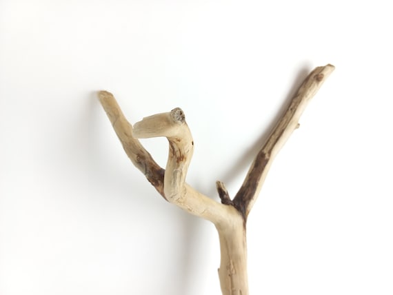 Branche en bois flotté 50 cm 19,6 po., bâton de plage rustique