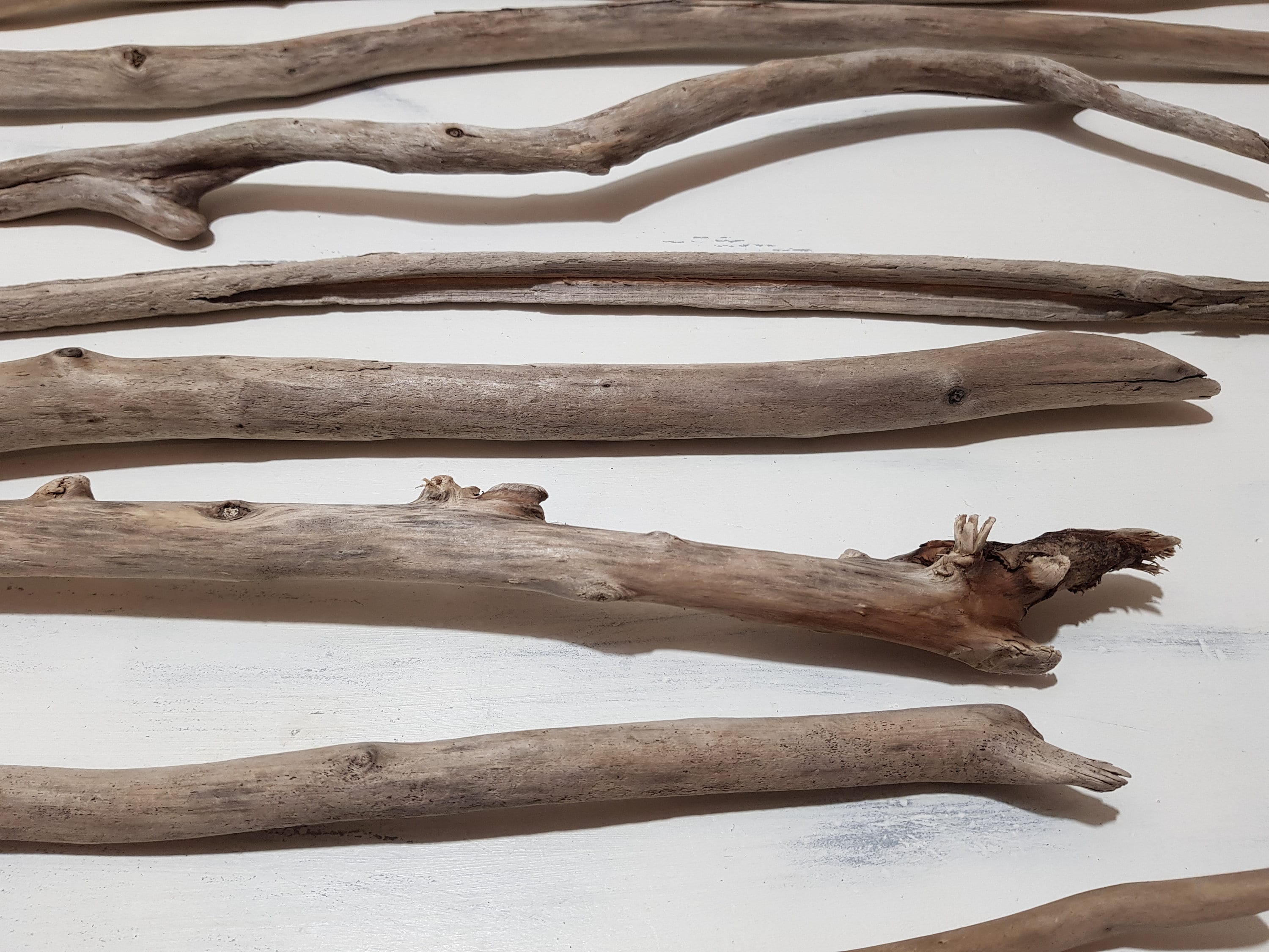 Driftwood branches 1631.8'' 4181cm long lovely Etsy
