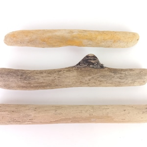 Może przedstawiać: Trzy kawałki drewna unoszącego się na wodzie, każdy o innym kształcie i fakturze. Górny kawałek jest jasnobrązowy z gładką powierzchnią. Środkowy kawałek jest szary z szorstką powierzchnią i małym sękiem. Dolny kawałek jest jasnobrązowy z szorstką powierzchnią.