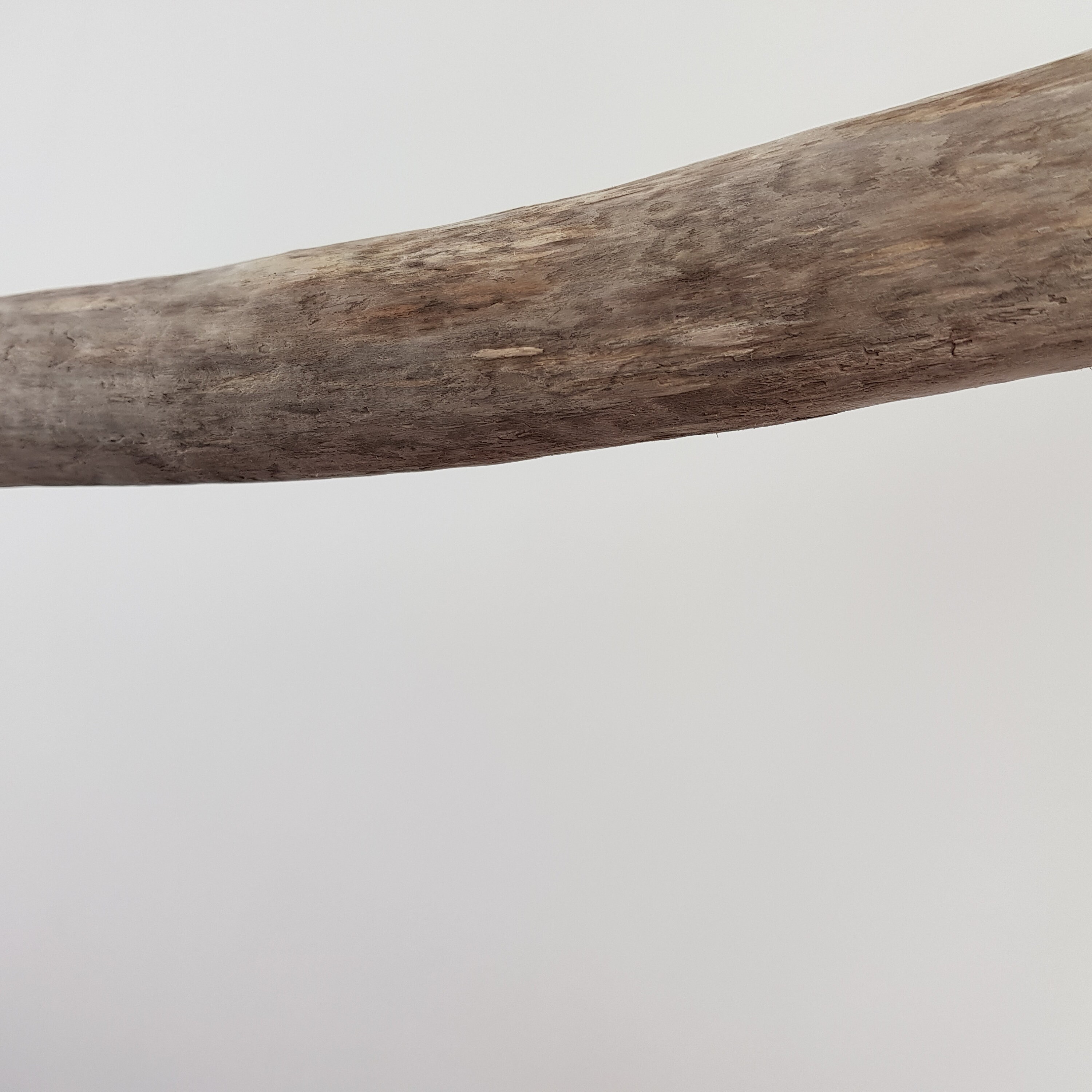 Langer Treibholz Ast Wandbehang 90cm großes Treibholzstück | Etsy