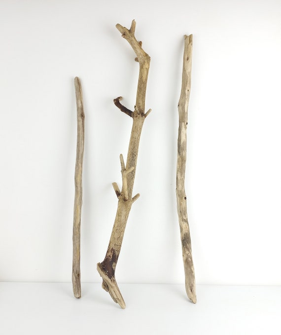 Rami decorativi di legni alla deriva 20,2 25,5'' 51,5 65 cm