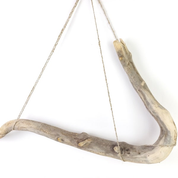 Curvy Driftwood Branch 24.8''(63cm) Unique Branch Wall Hanging, Rustic Air Plant Holder, Coastal Style Branch Art Supply, Display Props Twig