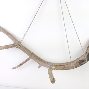 Può includere: Un pezzo curvo di legno galleggiante color marrone chiaro con diversi rami più piccoli sporgenti. Il legno ha una superficie ruvida e usurata con macchie di lichene grigio chiaro. È sospeso tramite due sottili corde di iuta color marrone.