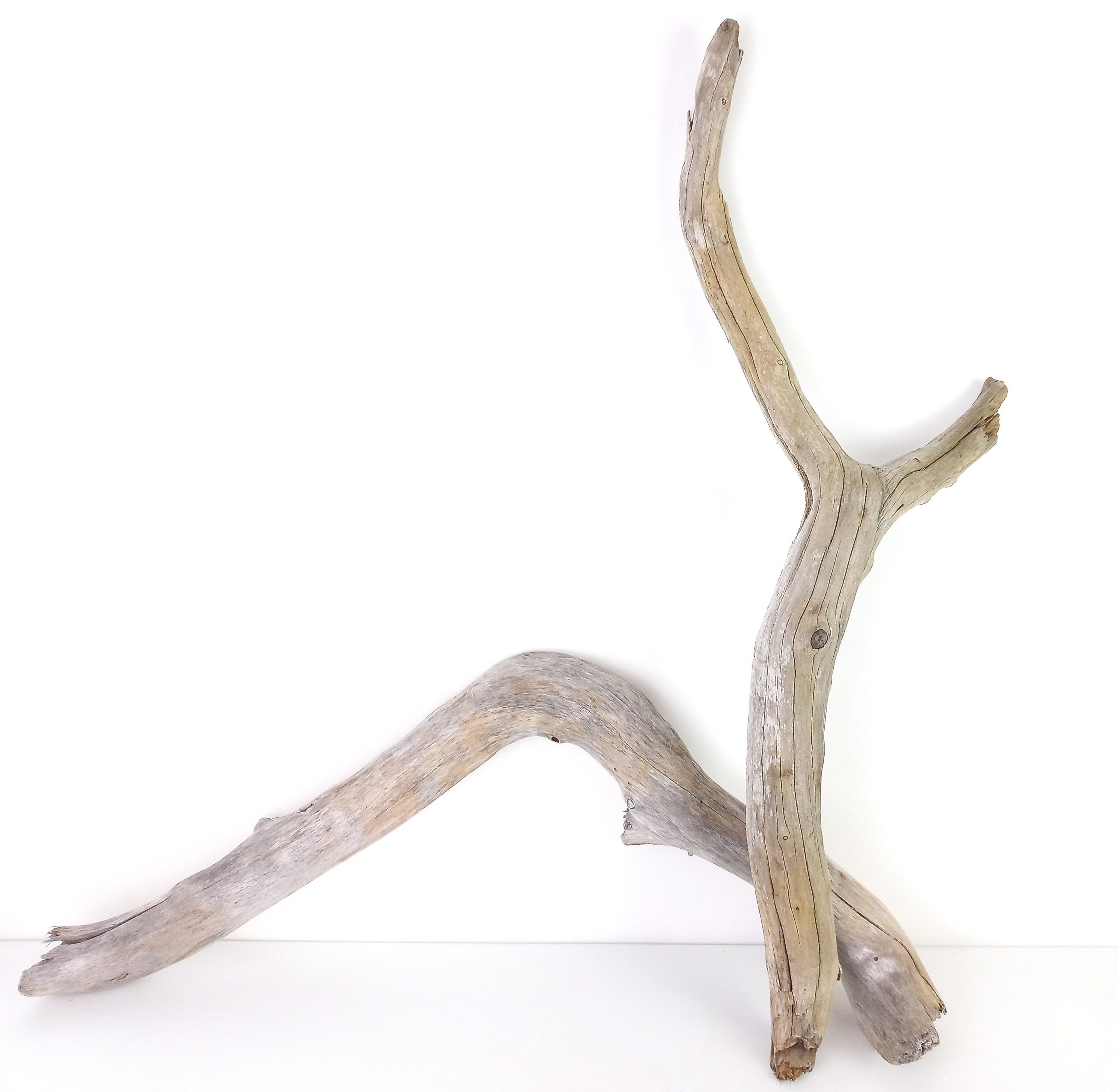 vente de branche décorative - bois flotté - 120 cm