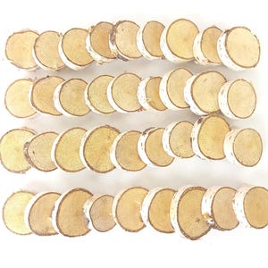 Natuurlijke berkenhouten plakjes Ronde berkenhouten onderzetters Rustieke bruiloft nummerlabels Plaatskaarten Centerpieces Decor Houten schijven Ambachten schilderen