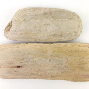 Conjunto de tábuas planas de madeira flutuante bege 7,7-10,3'' (19,7-26,4 cm) Etiquetas de nome de casamento rústicas Cartões de lugar, suprimentos de arte em madeira flutuante Pranchas de praia e oceano Adereços