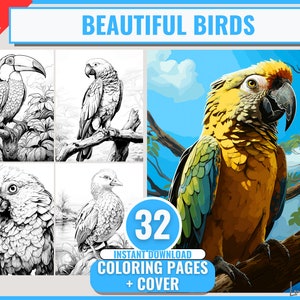 32 Beautiful Birds Adult Coloring Book Animals Fantasy in Nature Coloring Pages,Printable PDF JPG,Grayscale Bird Lover Gift,Digital Download