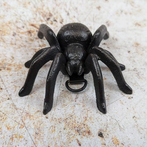 Spider Ornament Cast Iron Freestanding or Wall Mounted Indoor and Outdoor