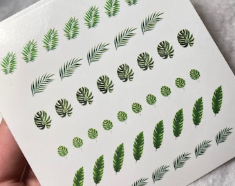 Tropical Leaf waterslide decals