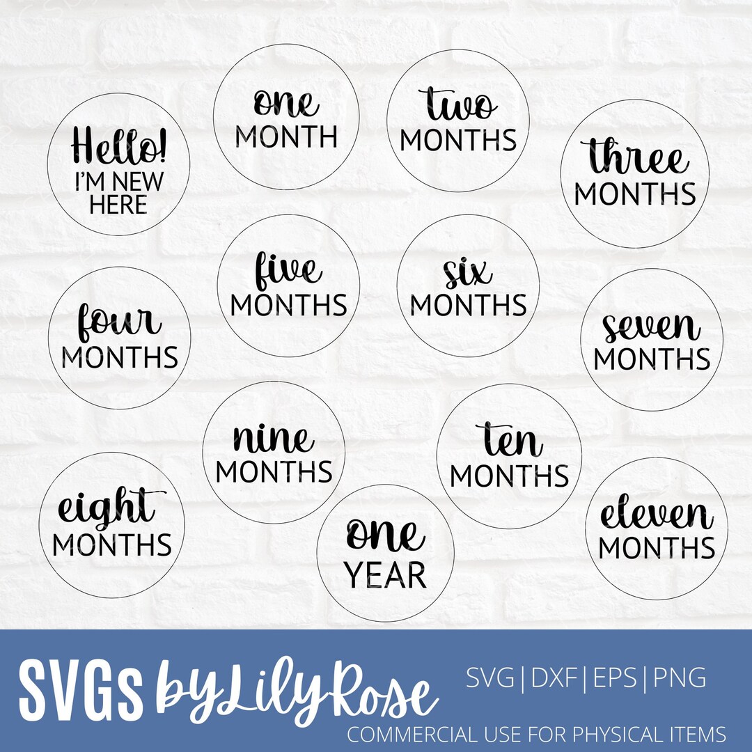 Baby Milestone SVG Cut File- First Year Cut File- Baby Svg- Baby ...