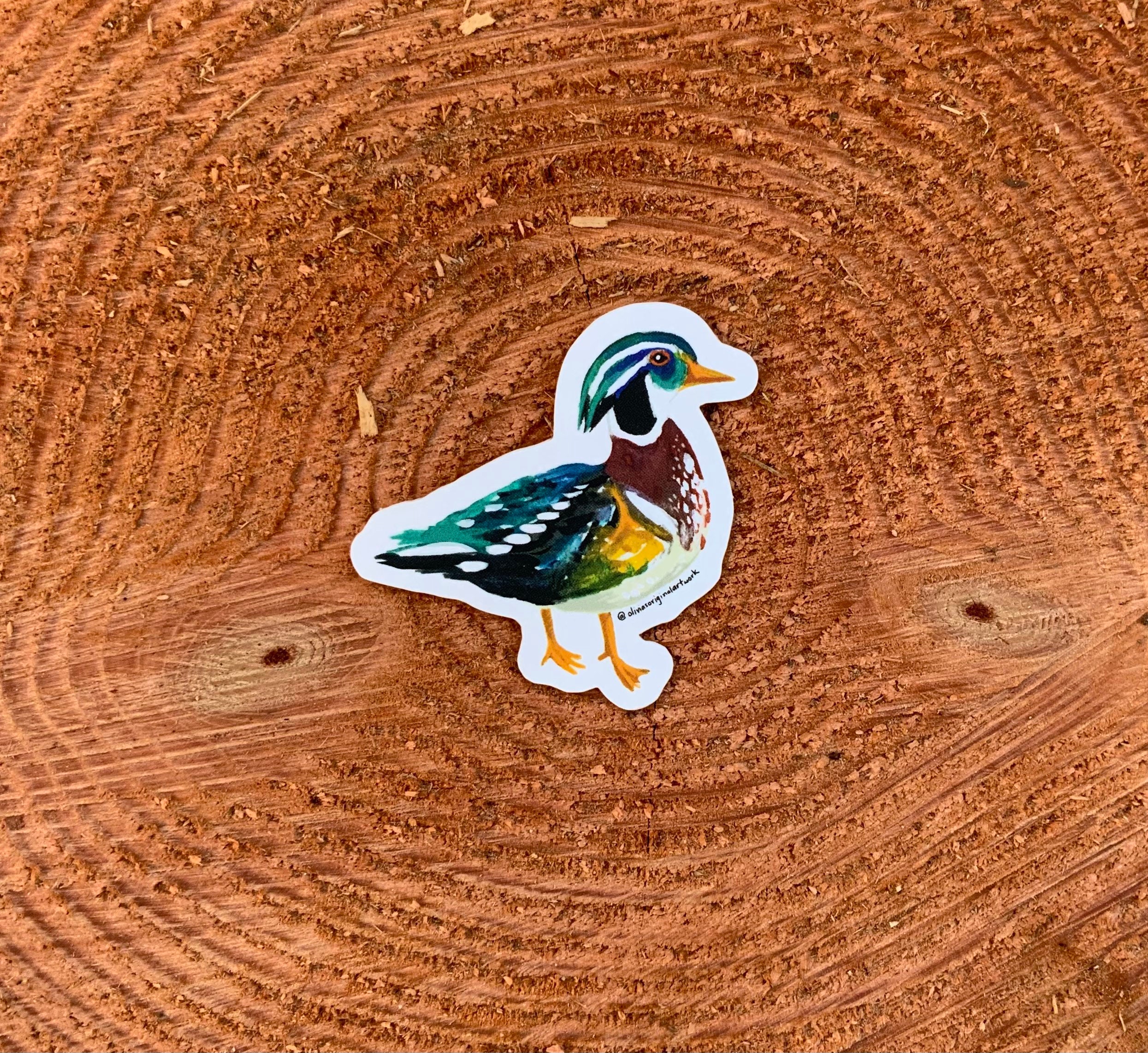 Wood Duck Sticker Etsy