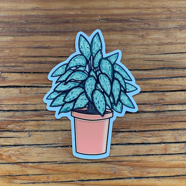 Sticker - House Plant: Dieffenbachia (Individuele Sticker, Custom Cut, Die-Cut, All Purpose, Waterproof Sticker, RGB Sticker)
