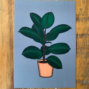 House Plant: Art Print - Rubber Plant (Art Print, A4 Print, Wall Art, Digital Design, Modern Illustration, Full Colour Design)