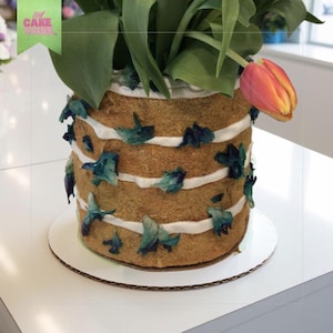 NAKED Fake Cake Inspiriert Blumenvase Einzigartige Handgefertigter Blumentopf Kawaii Home Decor