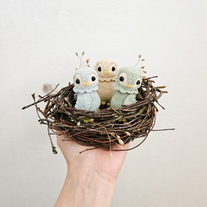 K&ouml;nnte beinhalten: Drei geh&auml;kelte Vogel-Ornamente in einem Vogelnest. Die V&ouml;gel sind hellblau, hellgr&uuml;n und hellbraun. Das Nest besteht aus Zweigen und liegt auf einer Hand.