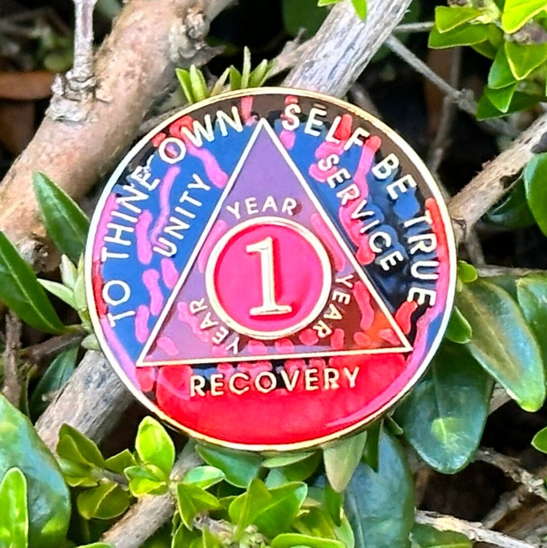 1 Year AA Chip | Red Alcoholics Anonymous Token | Sobriety Gift ...