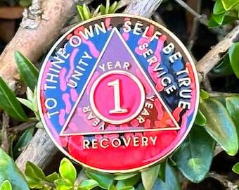 1 year AA chip | Red Alcoholics Anonymous Token | Sobriety gift | Serenity Prayer | UK Product | Handmade