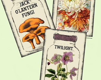 2026 New Witchy Halloween Jars,  Antique Images in Canning Jars,  Instant DL, Easy to Print +Bonus Thanksgiving Tag Set