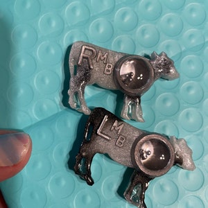 Cow Xray Markers
