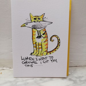 Carte de vœux pour chat - « Quand je suis allé à Cornwall, je t'ai offert ça »