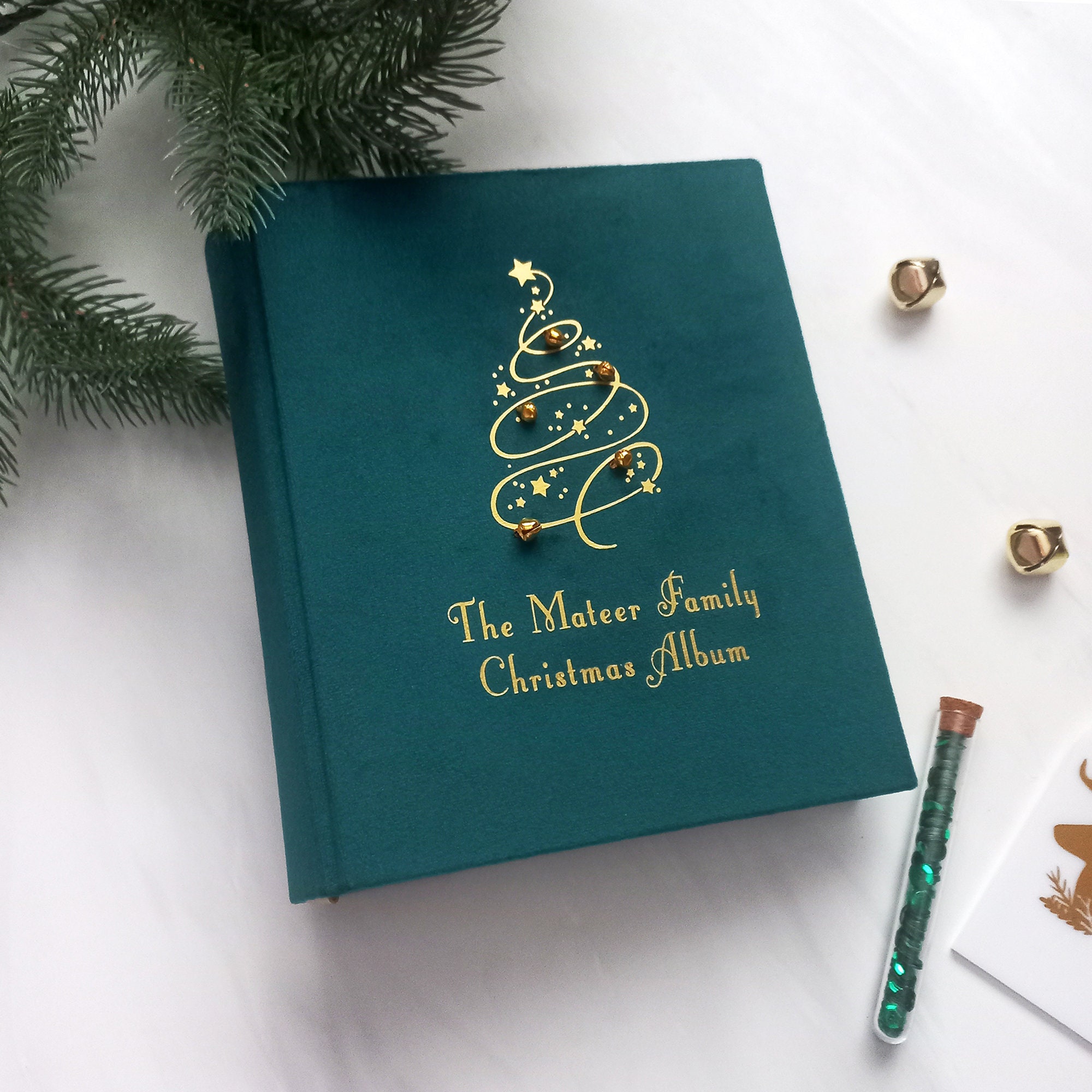 Green Christmas Photo Album Velvet Album Photos Noël Santa -  in 2023