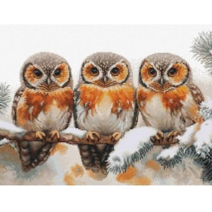 Three owls on a branch  cross stitch kit, Winter owls embroidery kit, Luca-s needlework kit,  DIY embroidery kit pretty bird