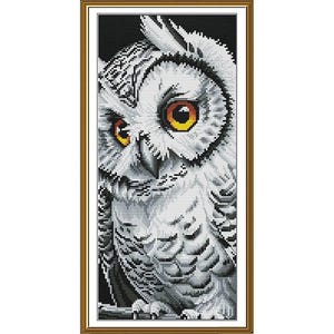 Cute white owl cross stitch kit, The owl&#39;s eye embroidery kit, DIY embroidery kit bird